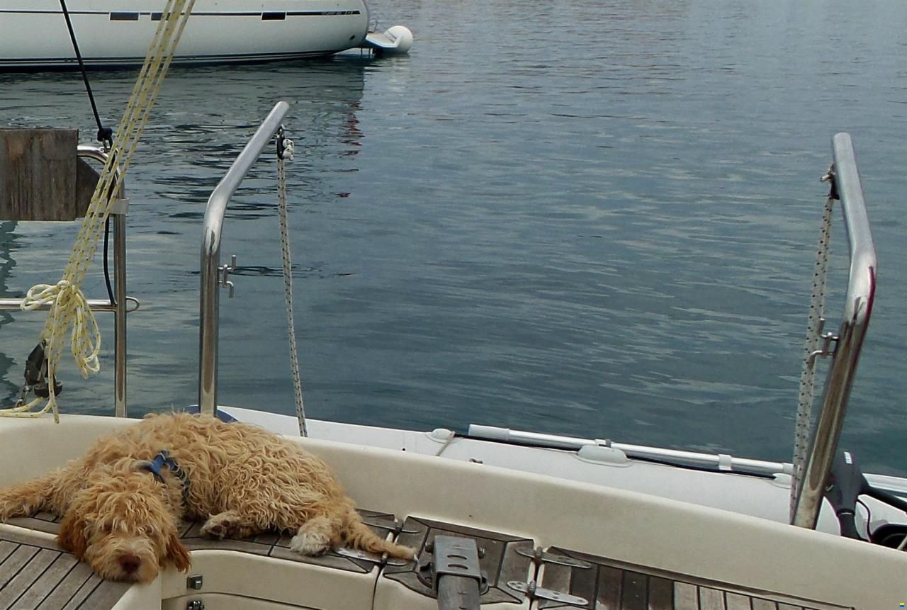 Hanse 311