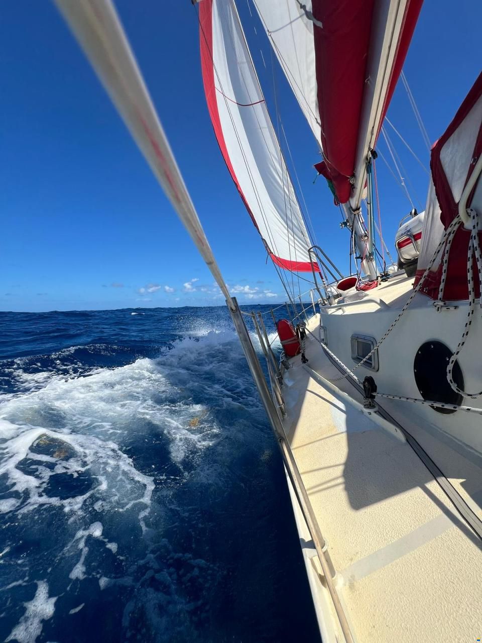 Stahl Langfahrtschiff (2016)