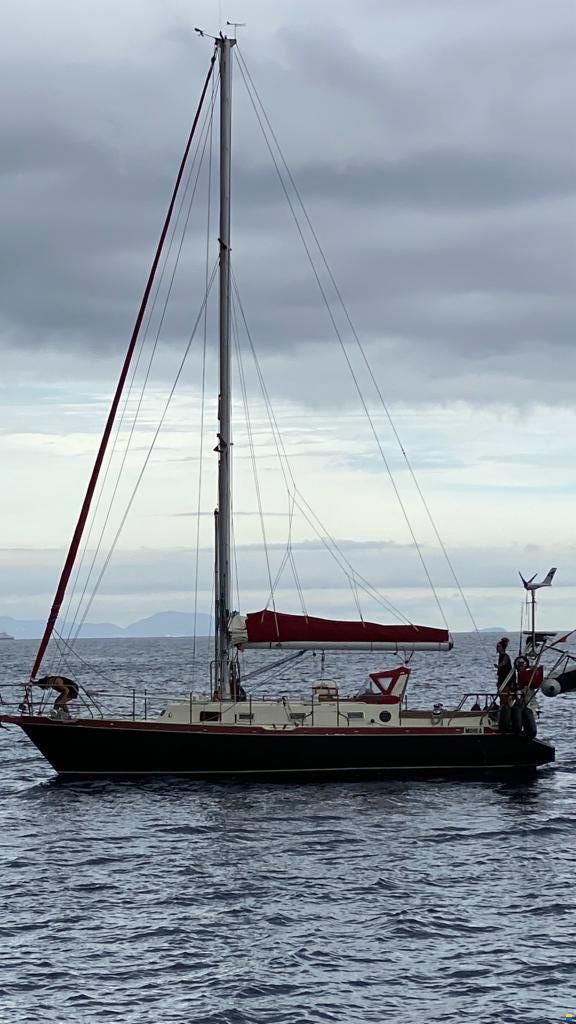 Stahl Langfahrtschiff (2016)