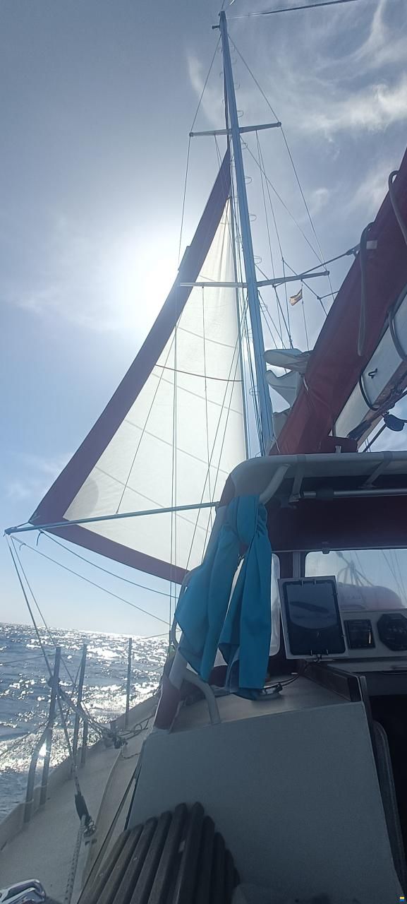 Stahl Langfahrtschiff (2016)