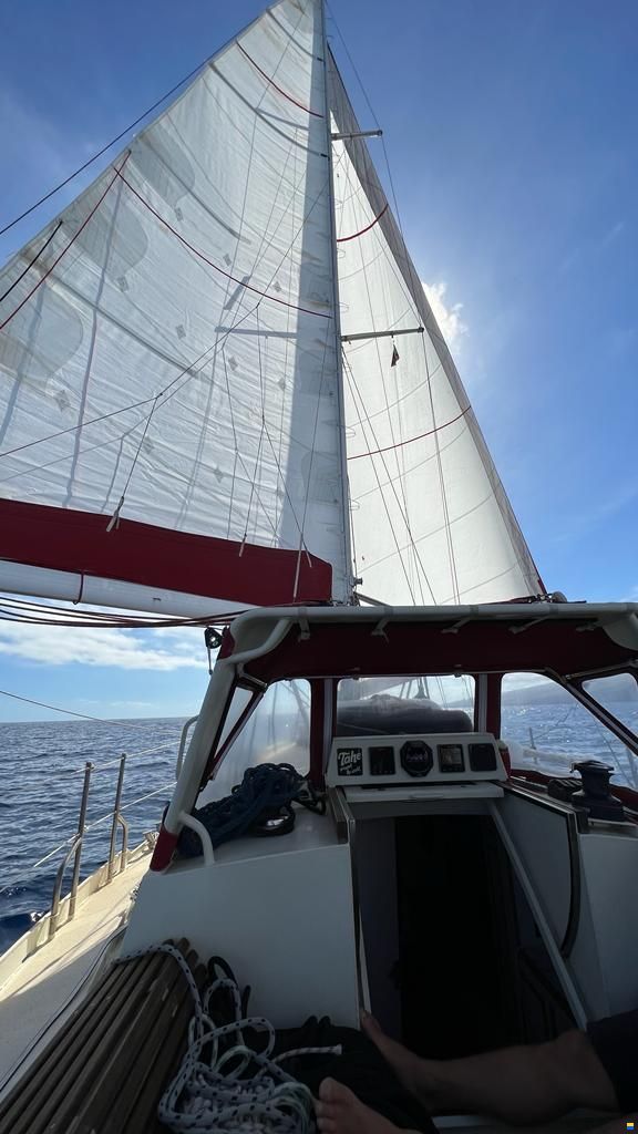 Stahl Langfahrtschiff (2016)