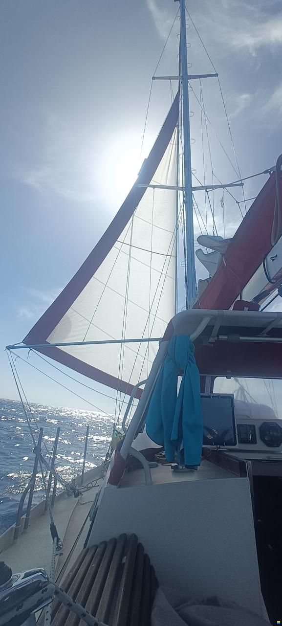 Stahl Langfahrtschiff (2016)