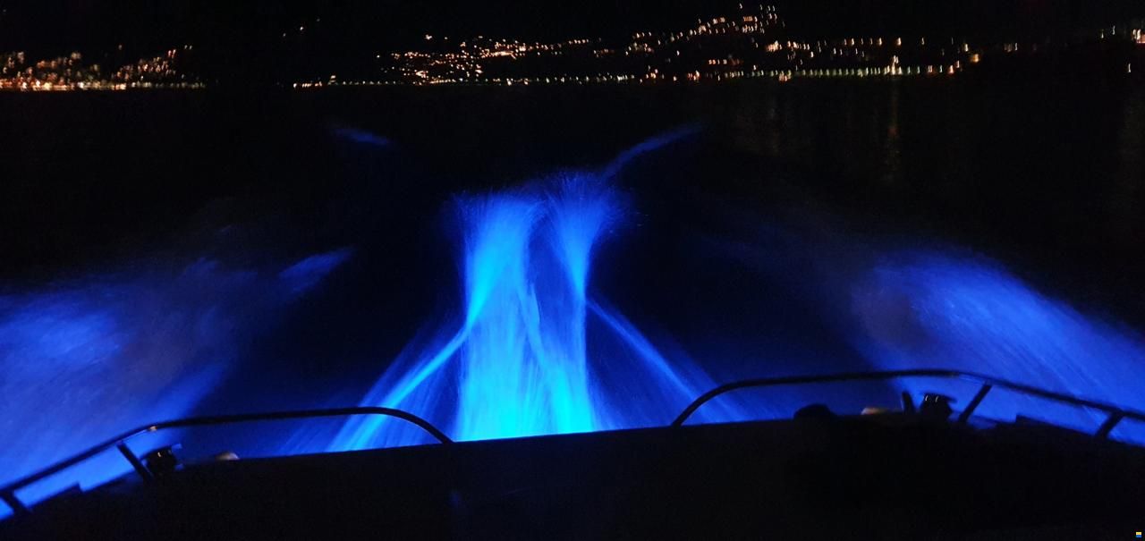 Cranchi Aquamarina 31