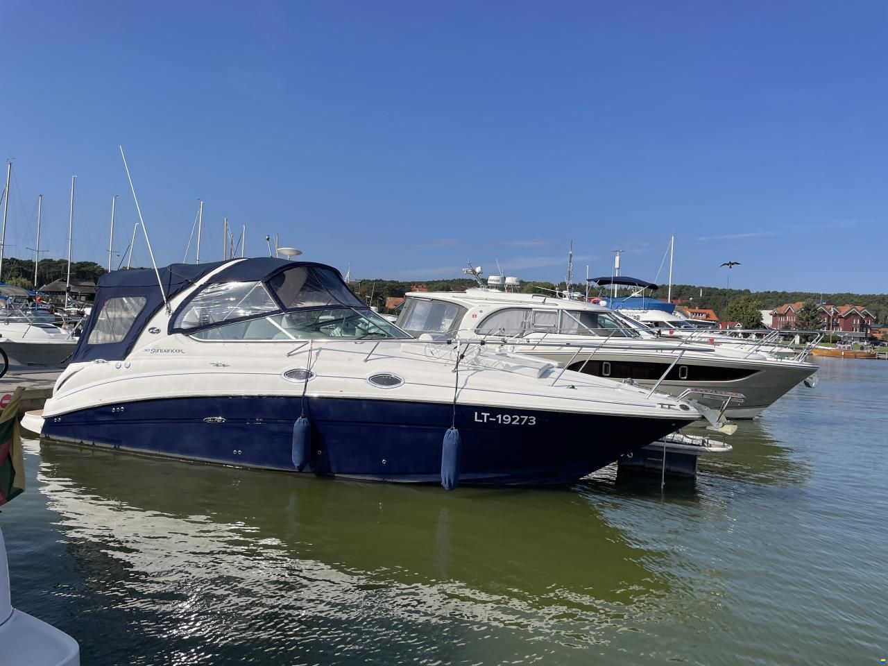 Sea Ray Sundancer 315