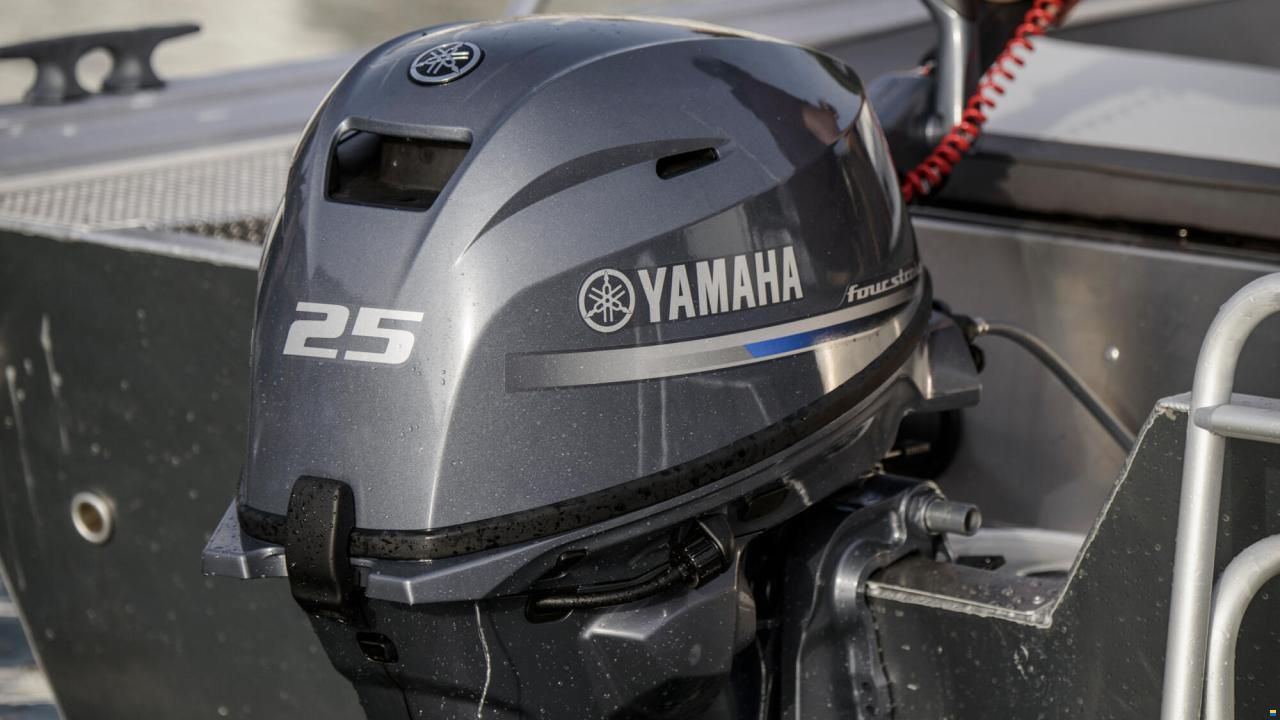 Yamaha F25GMHS