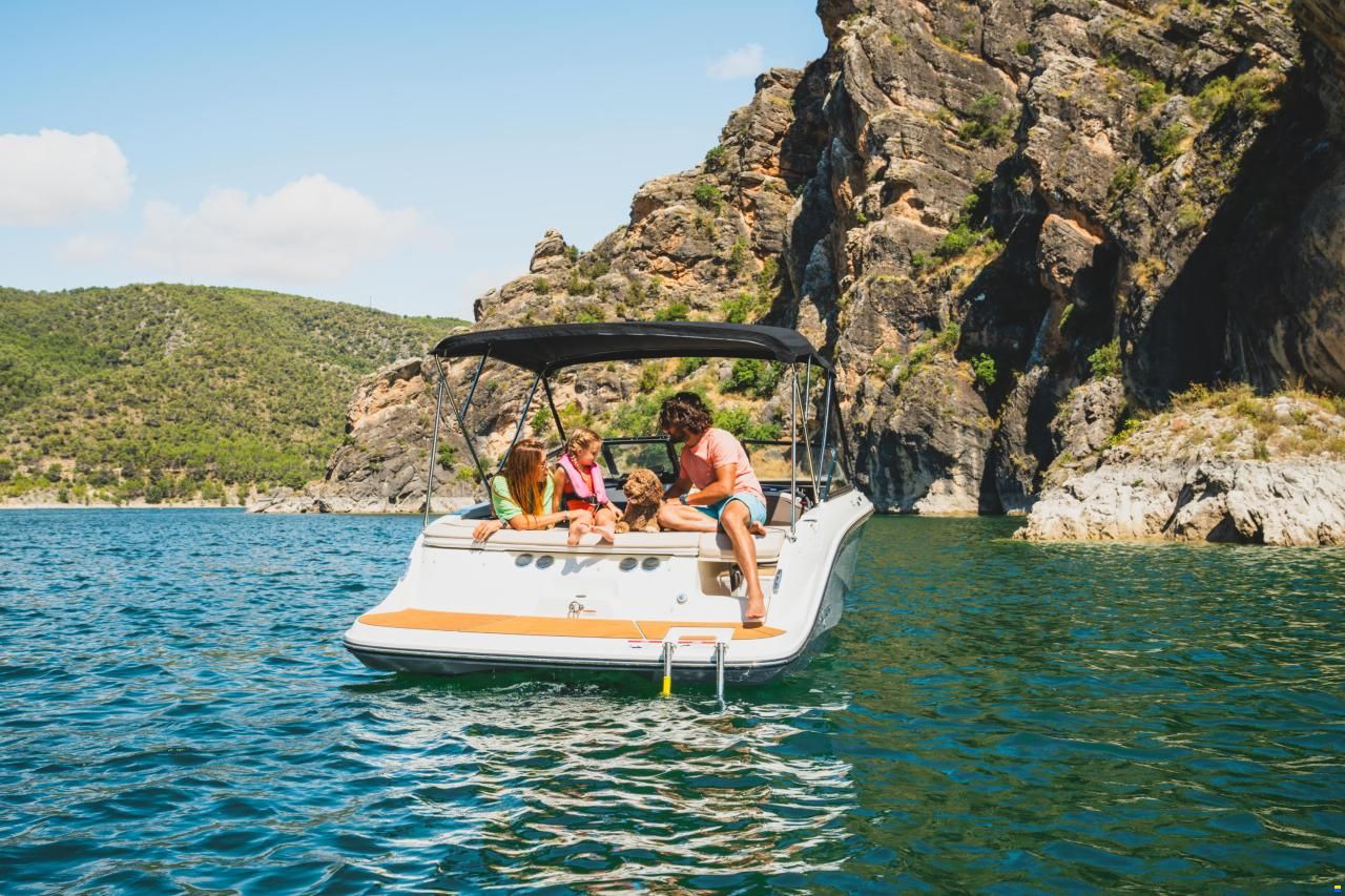 Bayliner V20i