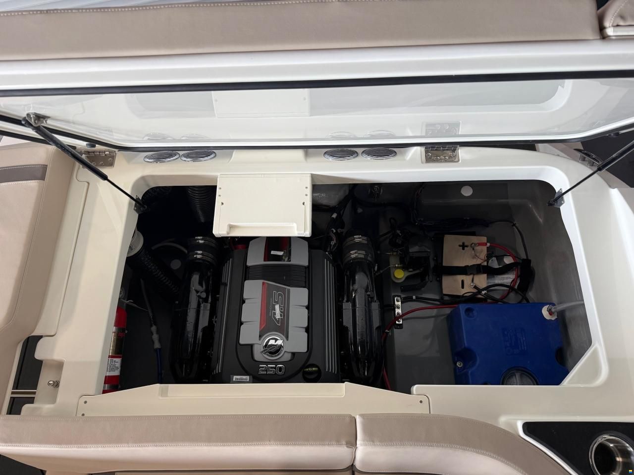 Bayliner V20i