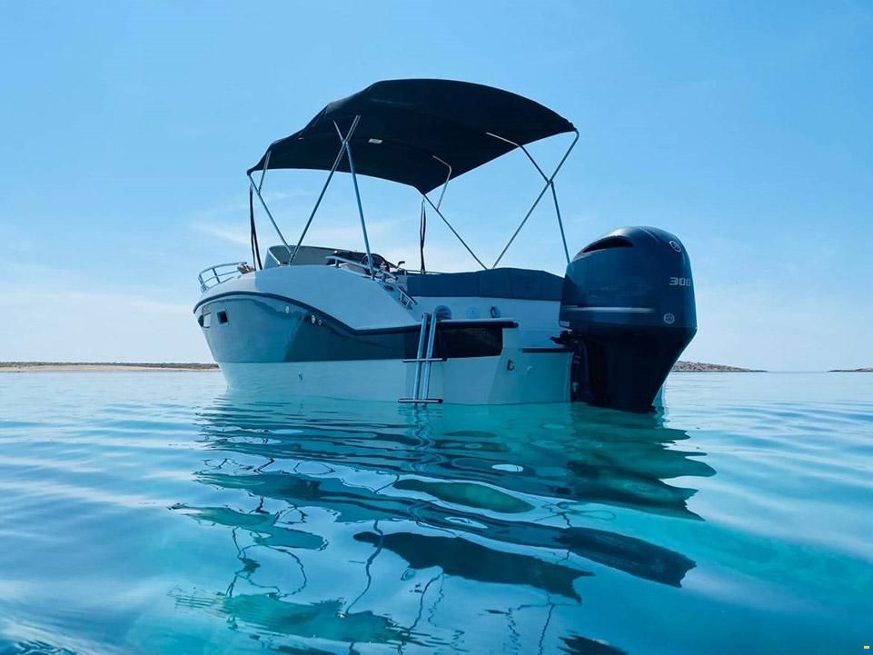 Trimarchi  Dylet 85 + Honda BF250