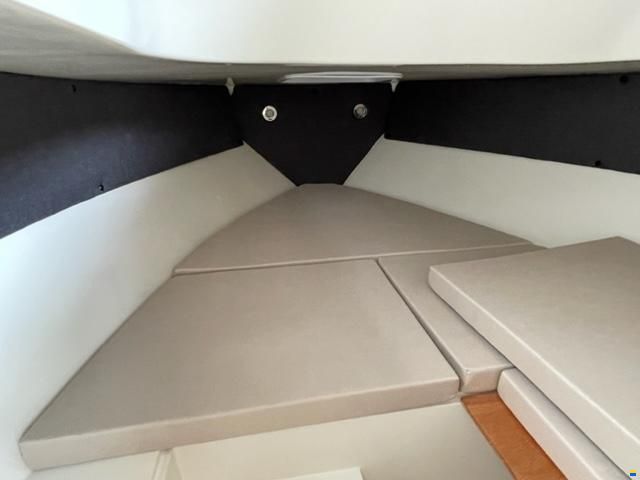 As Marine 590 Walk Around + Honda BF40E