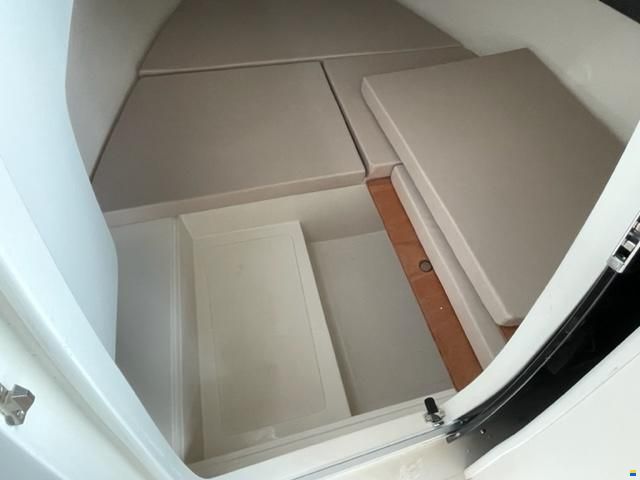 As Marine 590 Walk Around + Honda BF40E