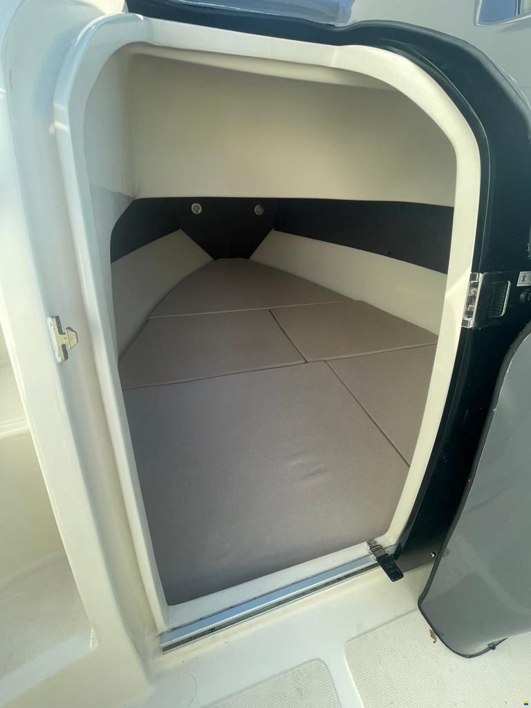 As Marine 590 Walk Around + Honda BF40E