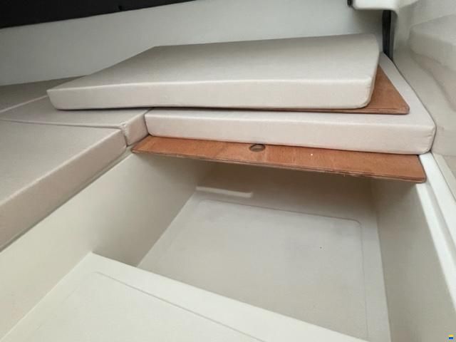 As Marine 590 Walk Around + Honda BF40E