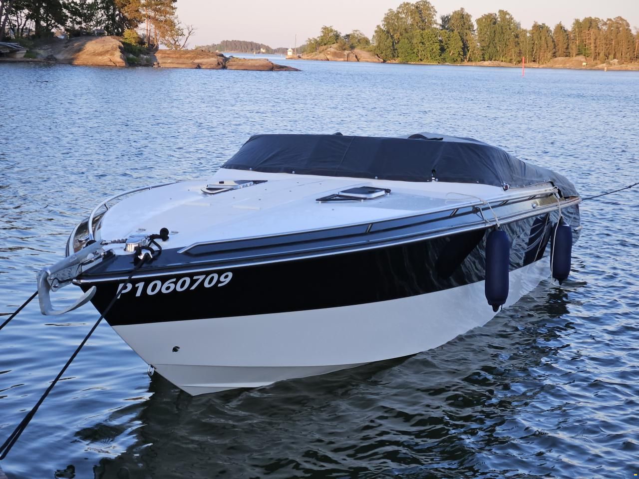 Viper Toxxic v283 8.2