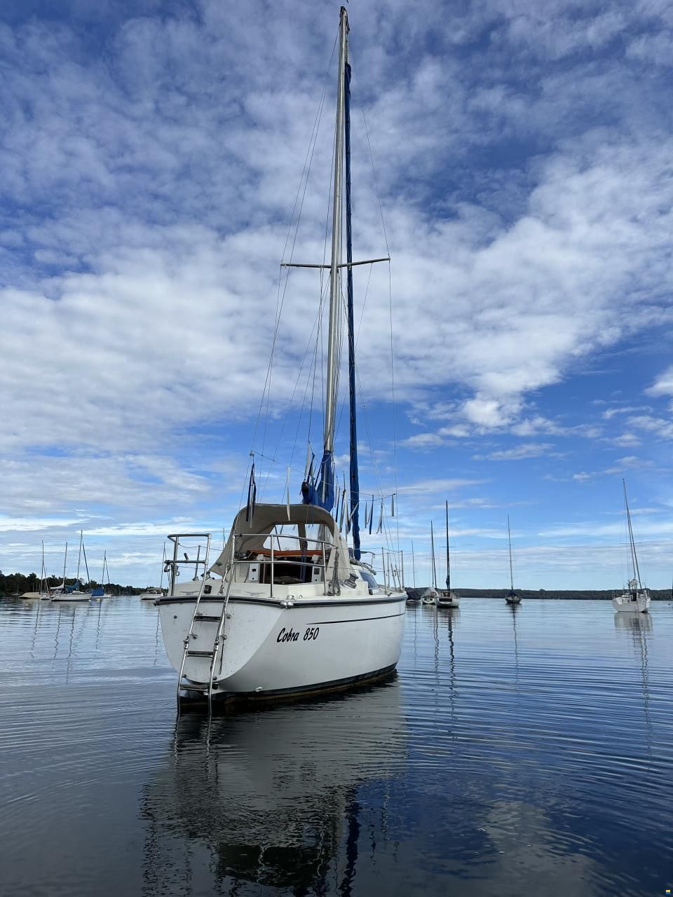 Cobra Yachts UK Cobra 850