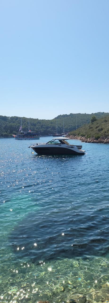 Sea Ray 320 DAE Sundancer