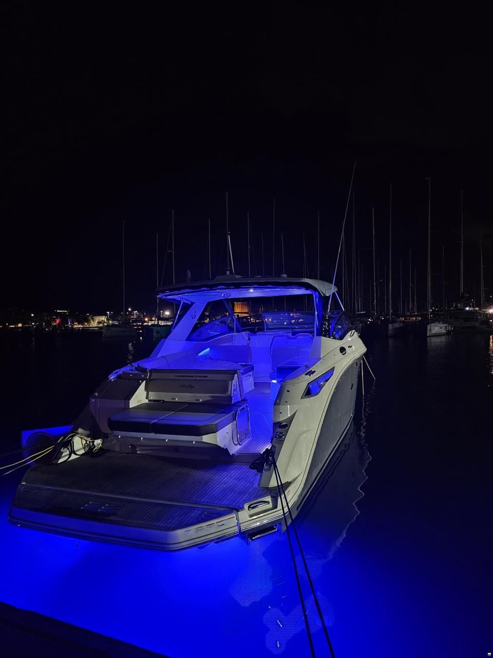 Sea Ray 320 DAE Sundancer
