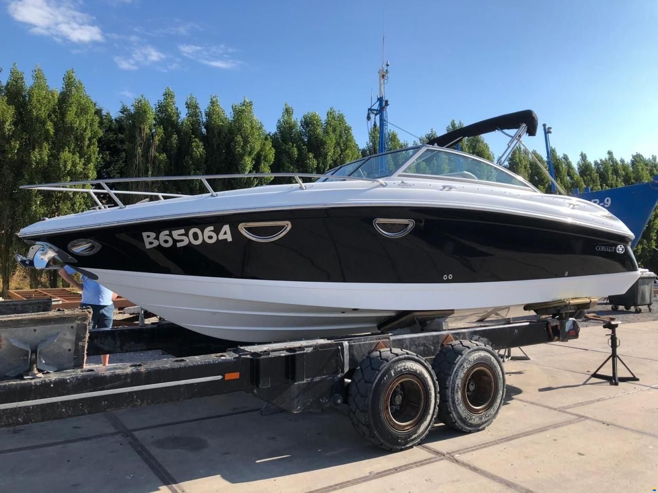Cobalt 243