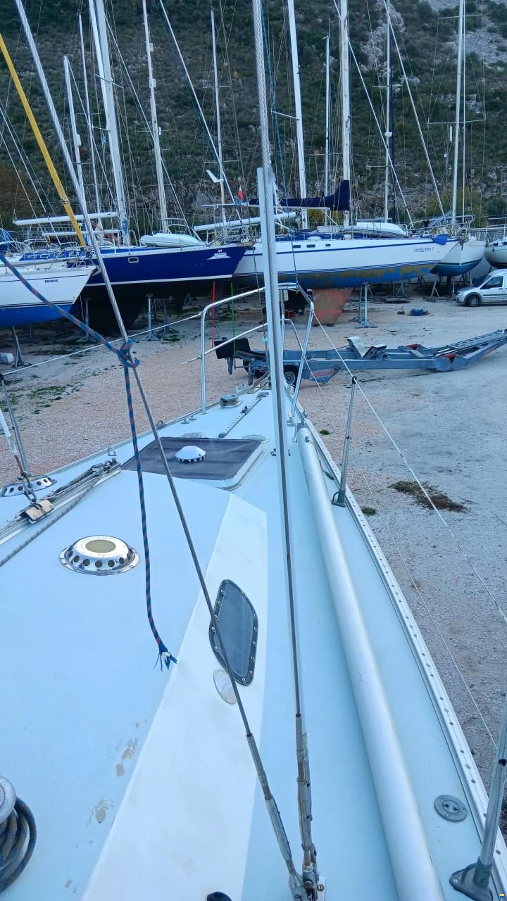 Contessa 34 ood