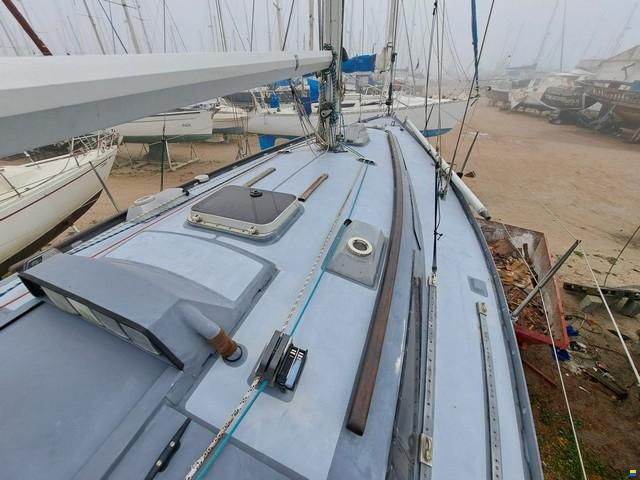 Roman&eacute;e MKII