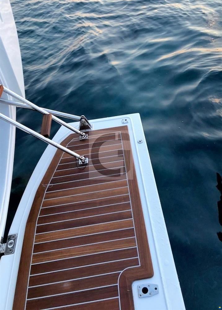 Solaris 50