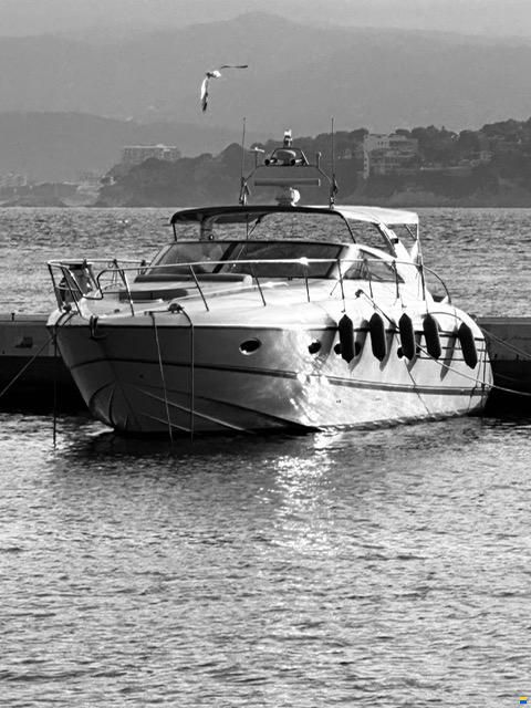 Princess V 50