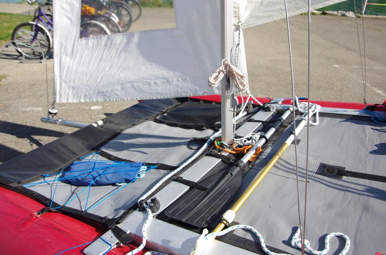 Grabner Happy Cat Vision