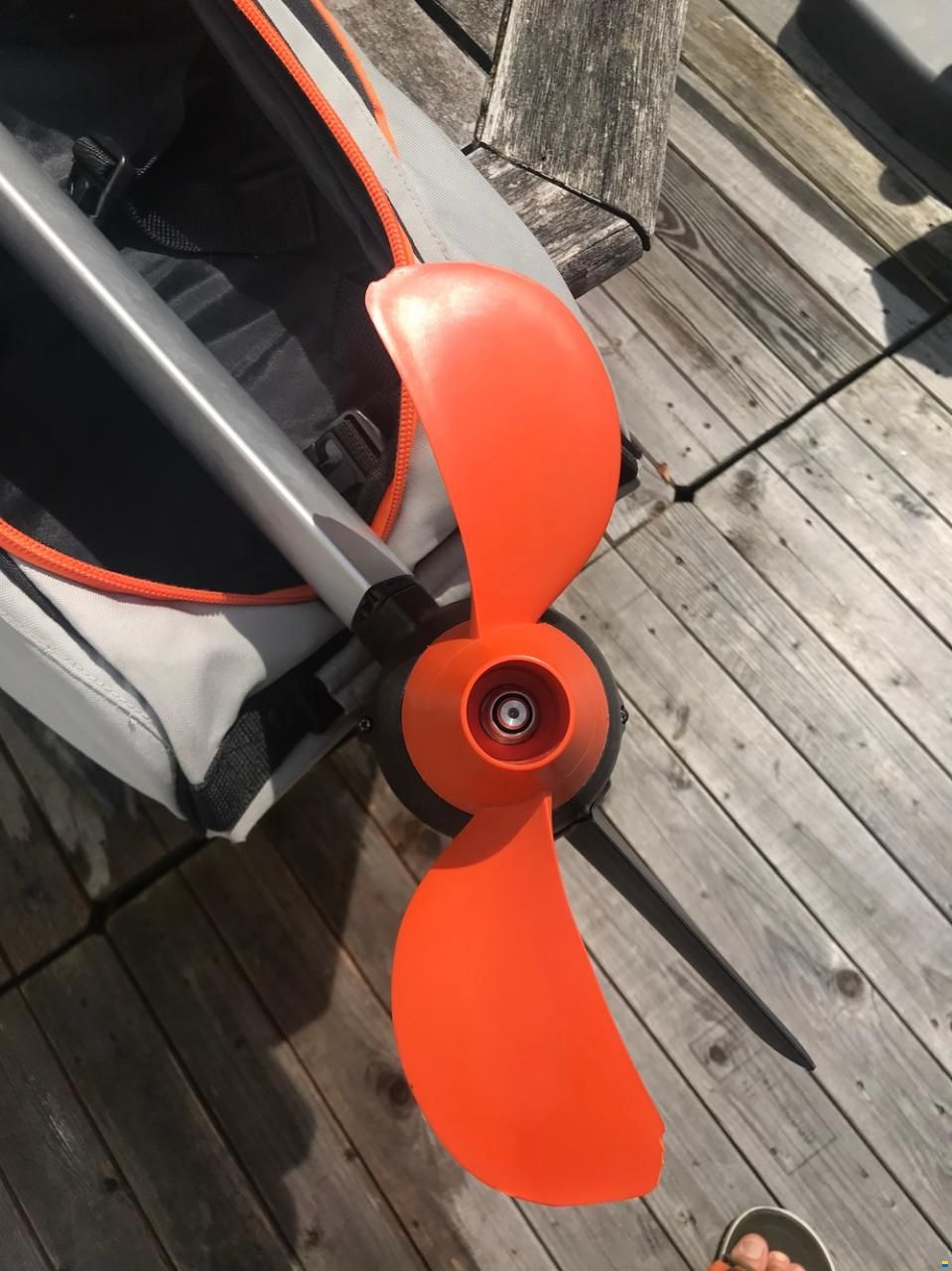 Grabner Happy Cat Vision