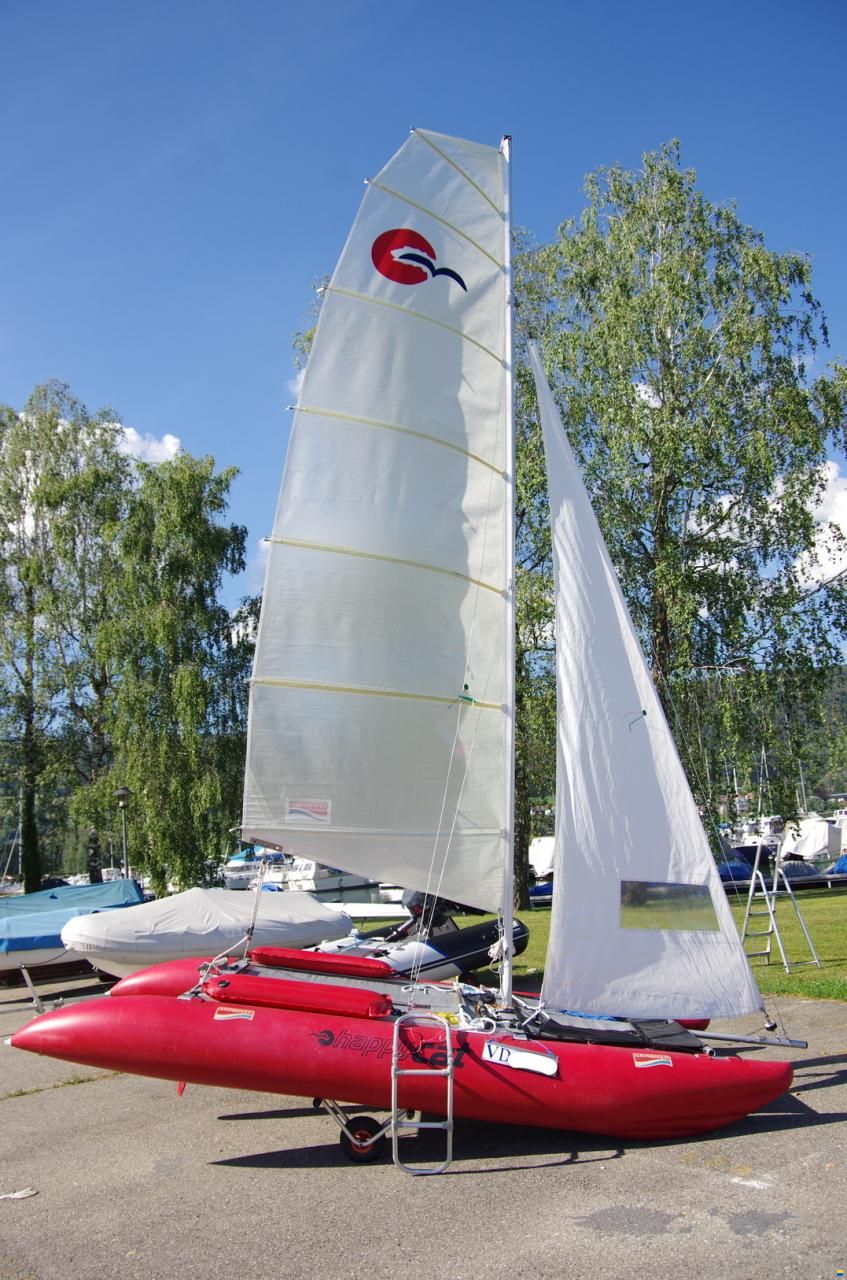 Grabner Happy Cat Vision