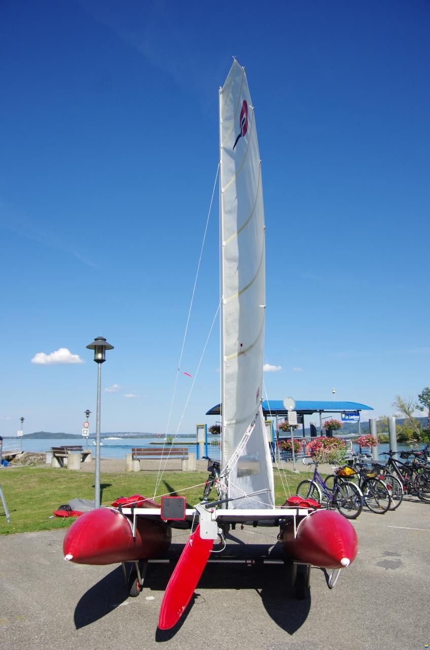 Grabner Happy Cat Vision