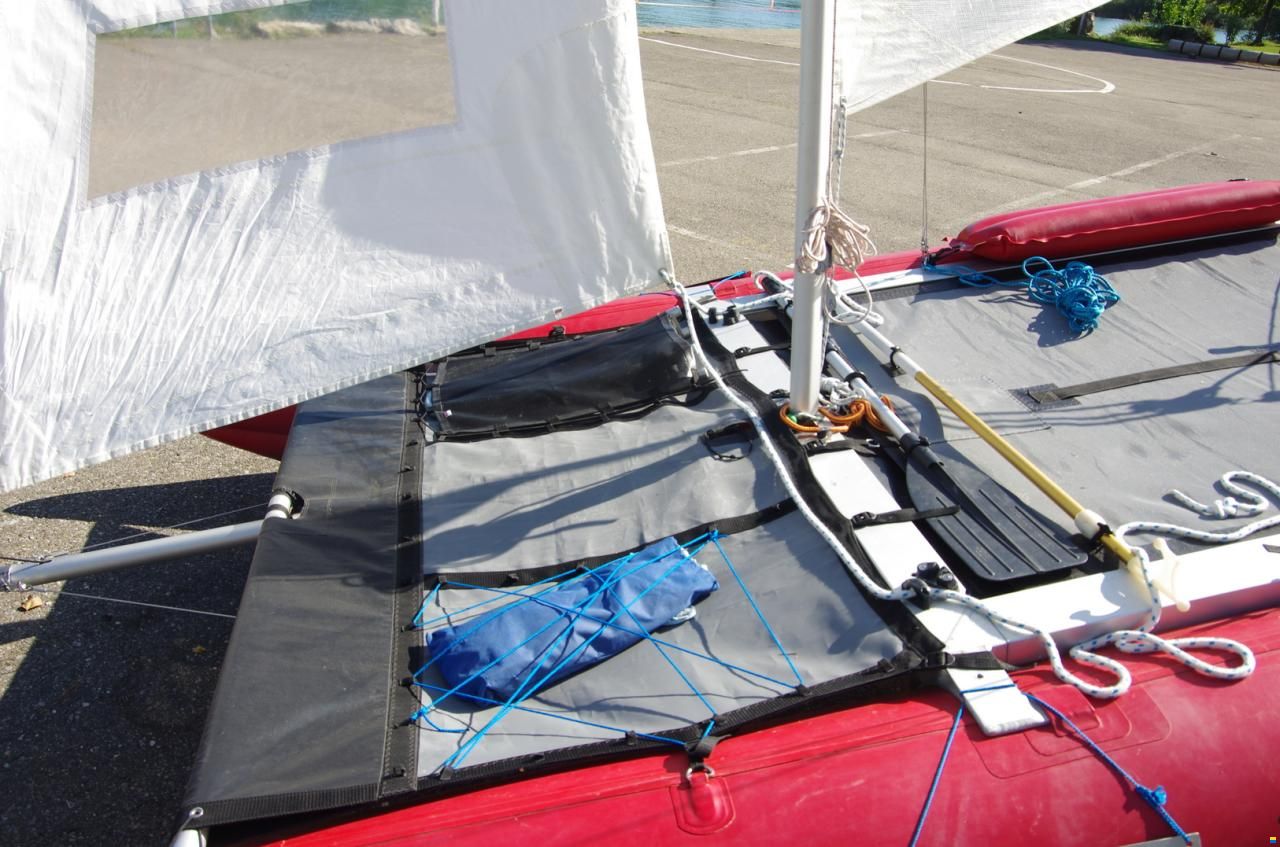 Grabner Happy Cat Vision