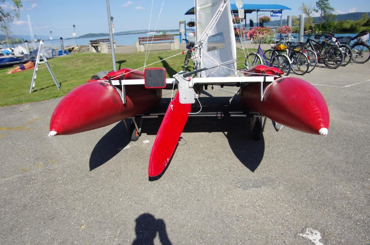 Grabner Happy Cat Vision