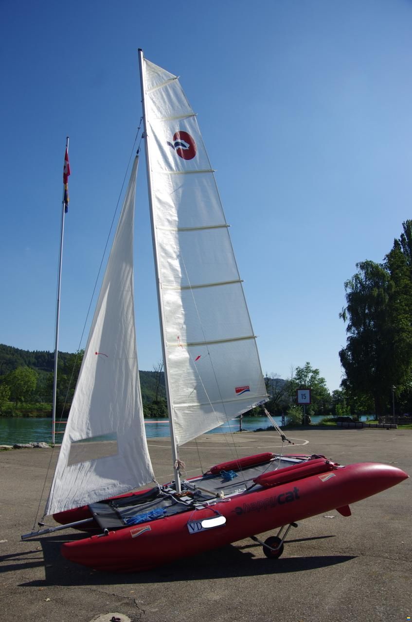 Grabner Happy Cat Vision