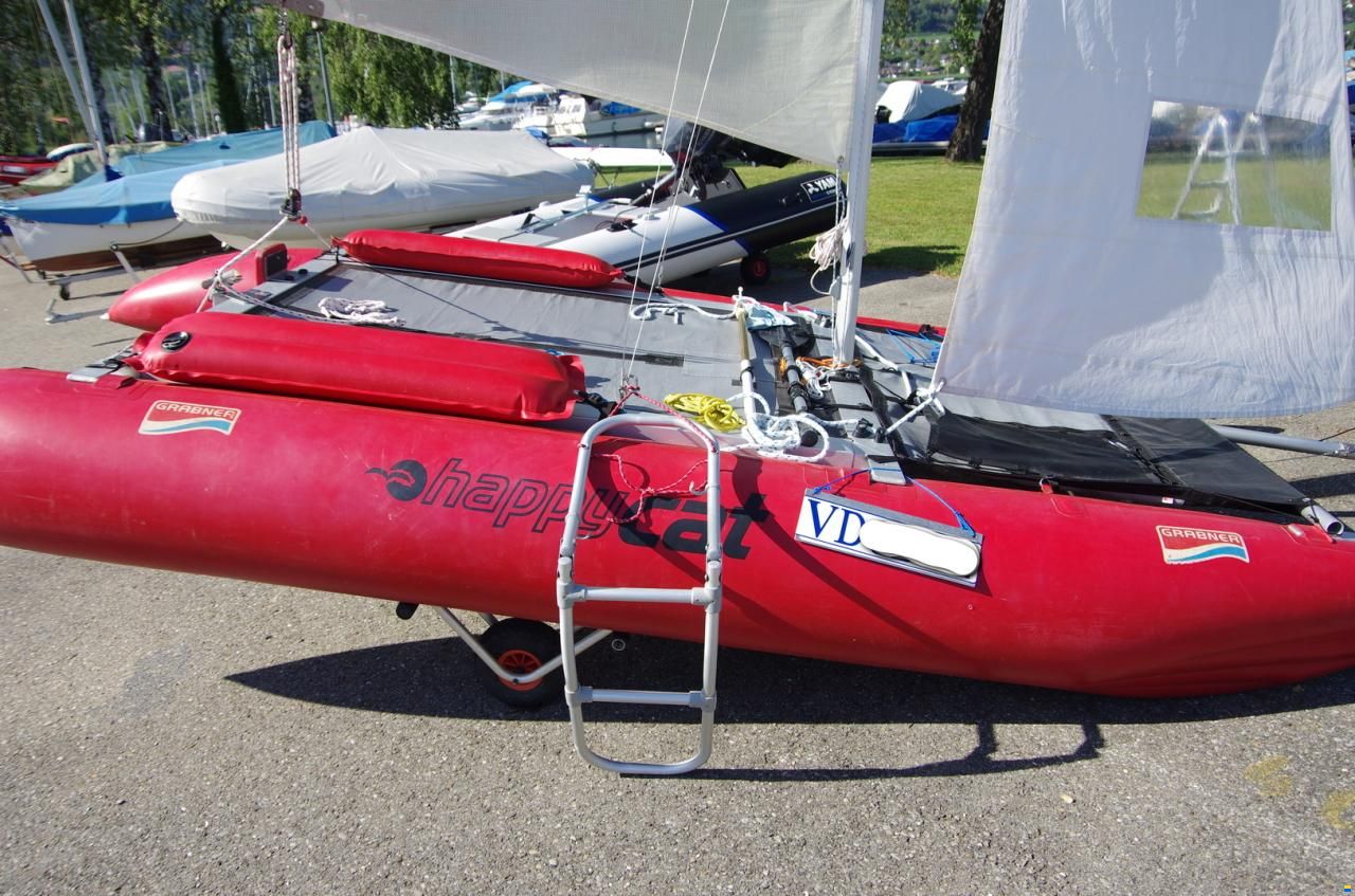 Grabner Happy Cat Vision