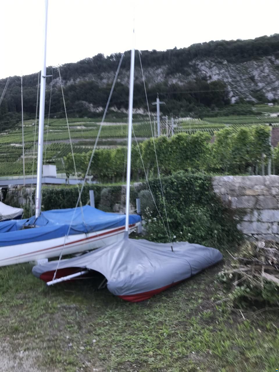 Grabner Happy Cat Vision