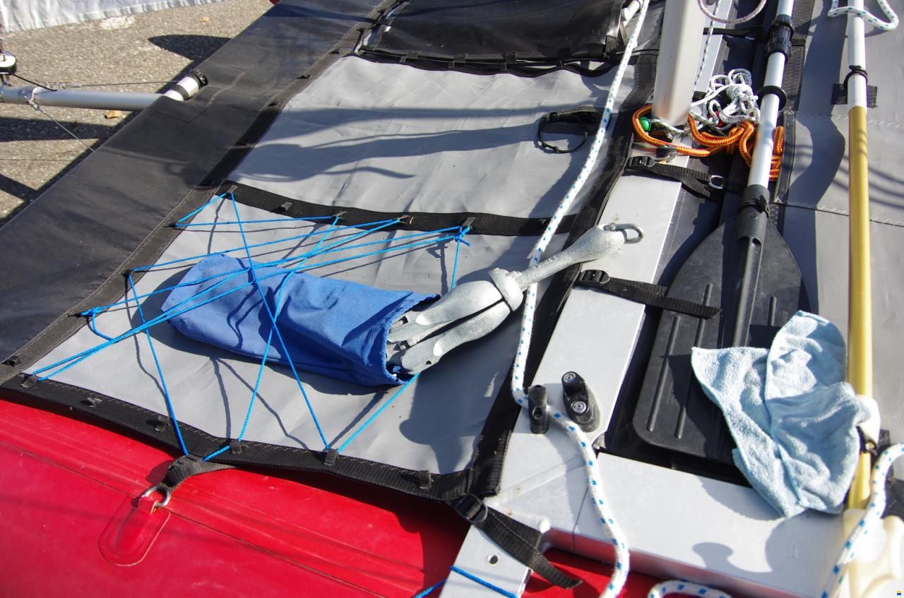 Grabner Happy Cat Vision