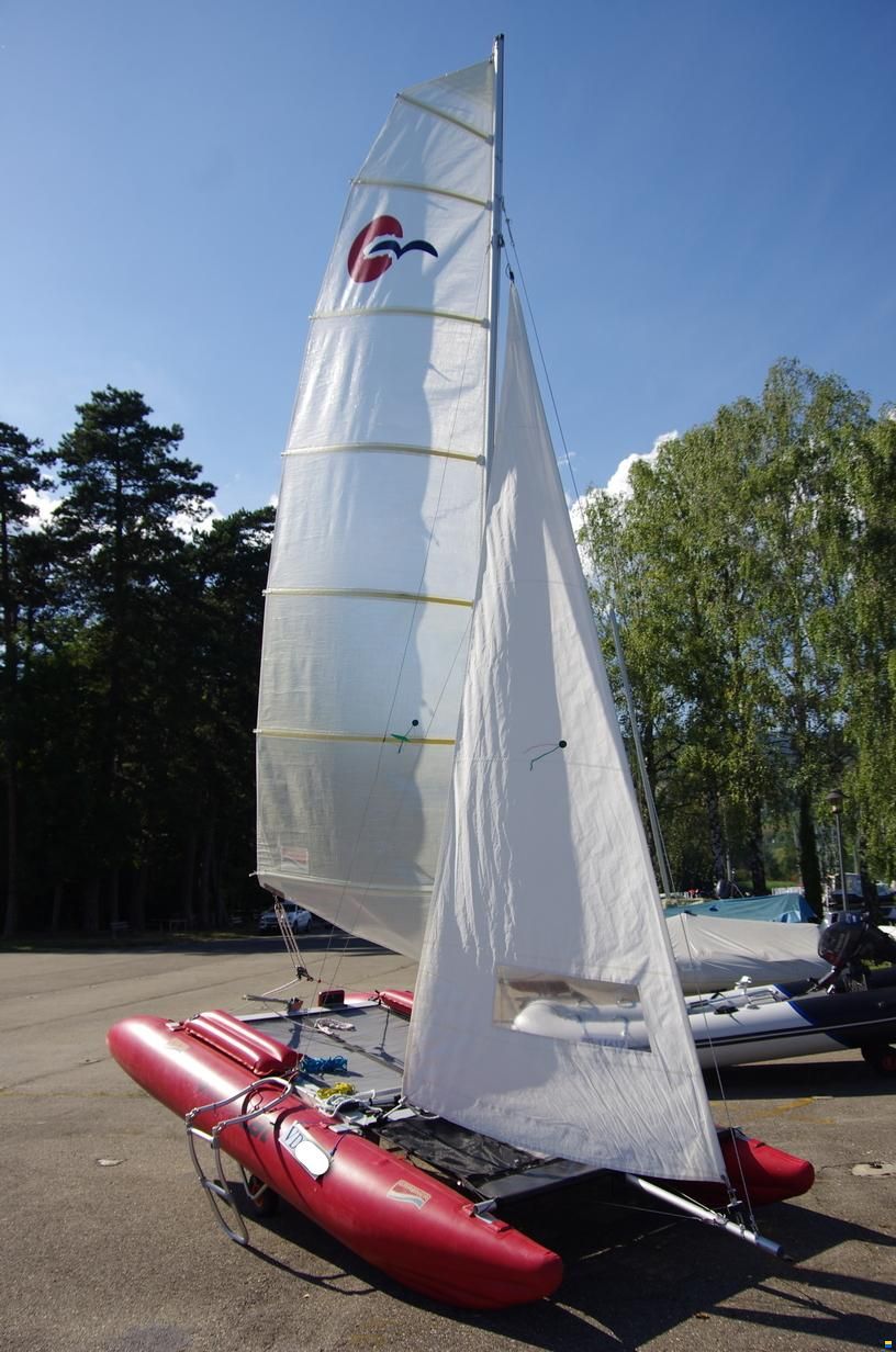 Grabner Happy Cat Vision