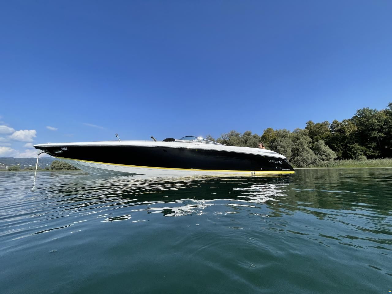 Cobalt 343 - come NUOVO