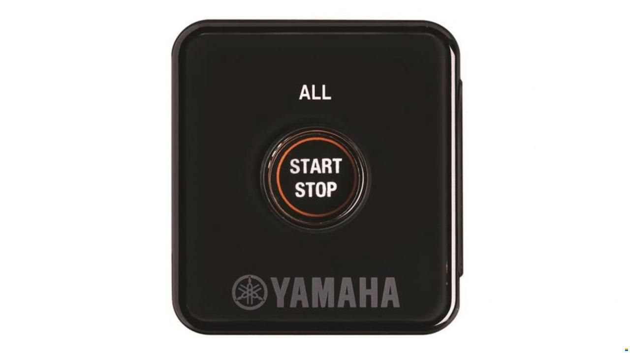 Yamaha F250XSB