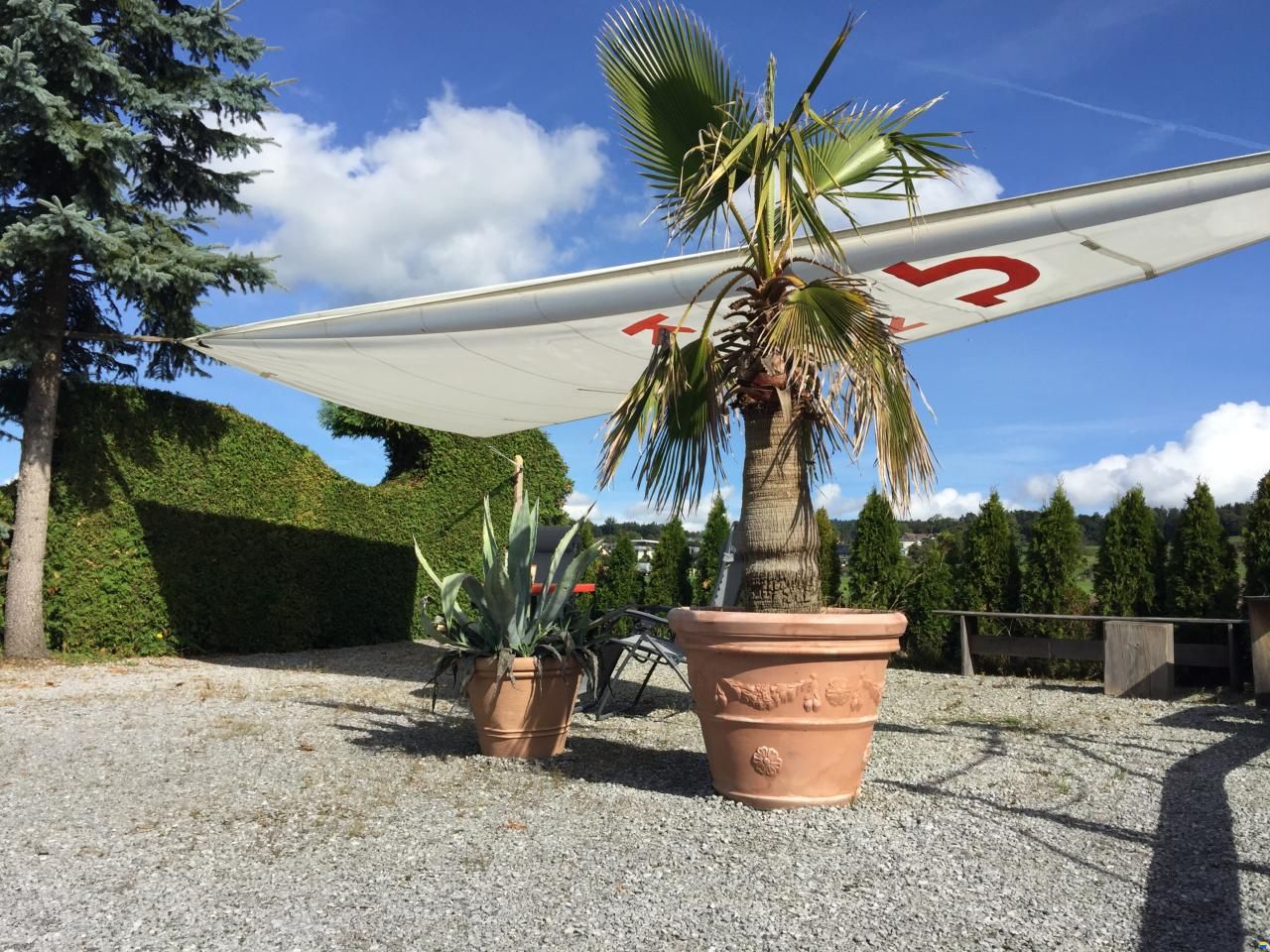 Segel Occ. Northsails-VM-Sails-Elvström.