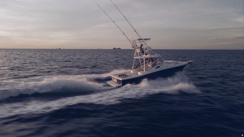 Apex Yachts Quepos 350