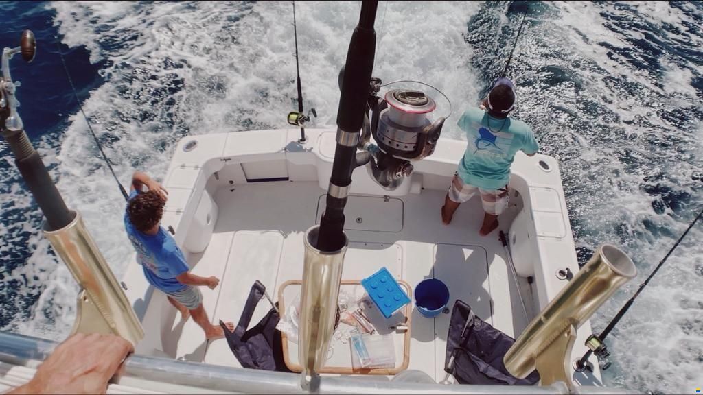 Apex Yachts Quepos 350
