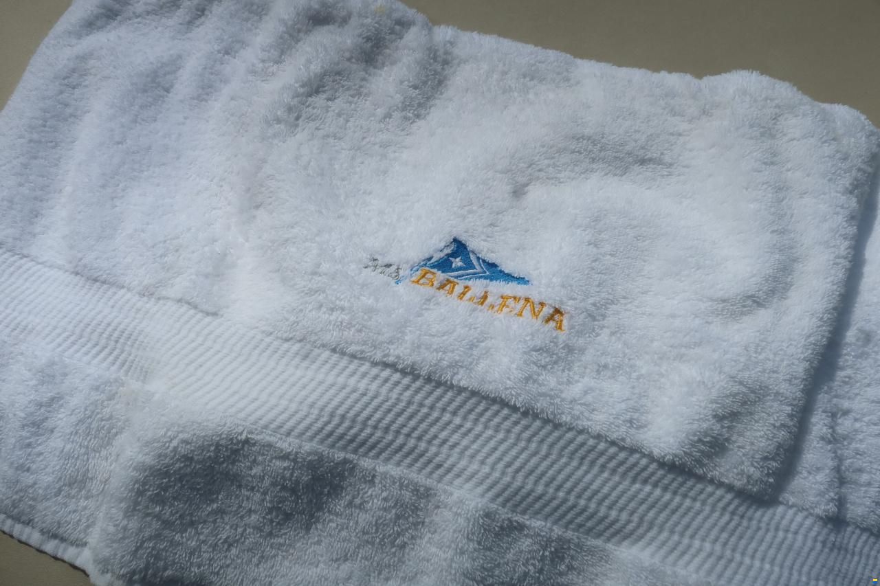 Swiss Craft Halbkabine 6.50 m