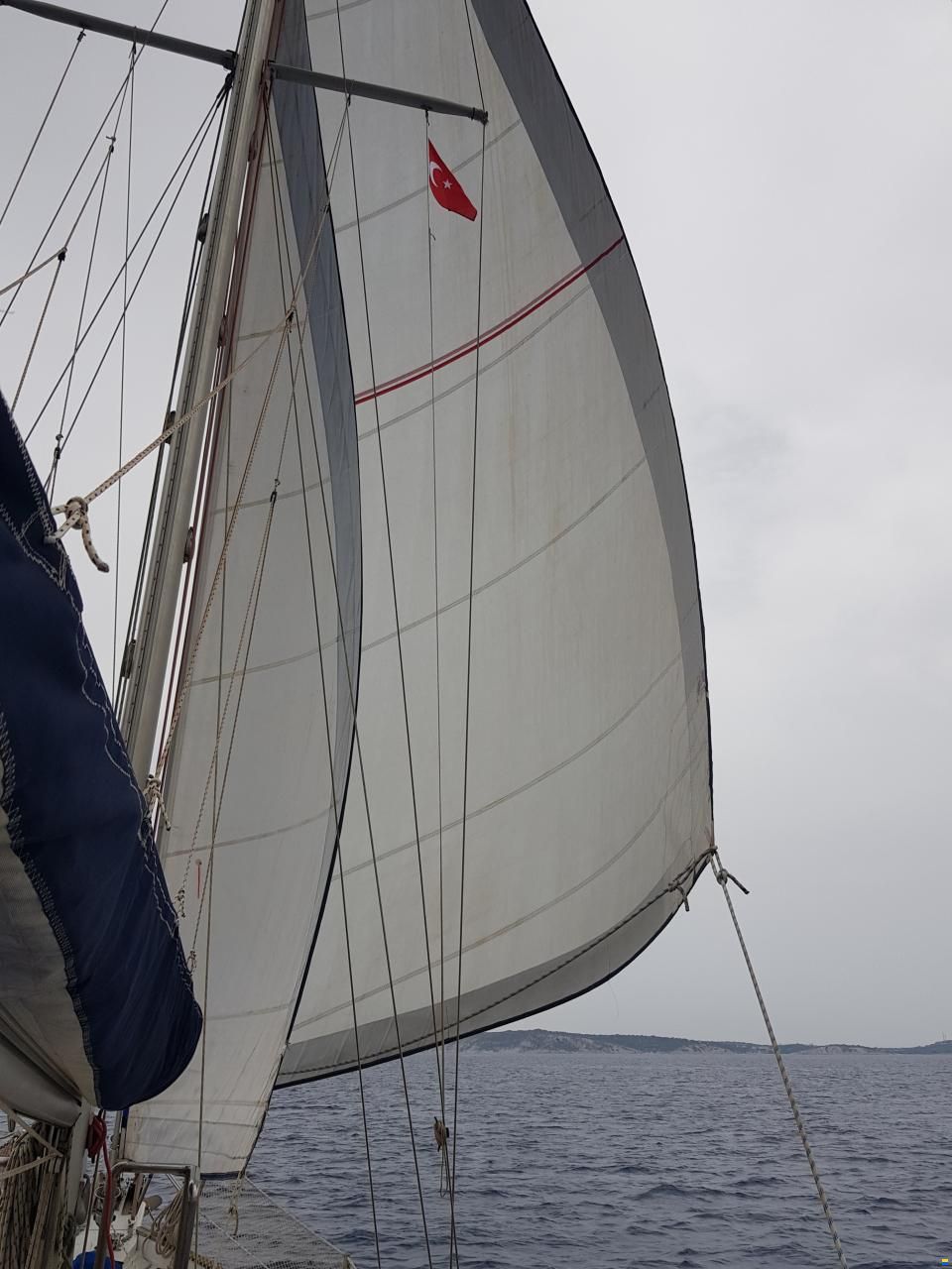 1981 Southern Cross 31 / CE Ryder (USA), EUR 25.000,-