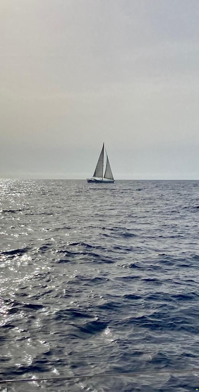 Beneteau Sense 55