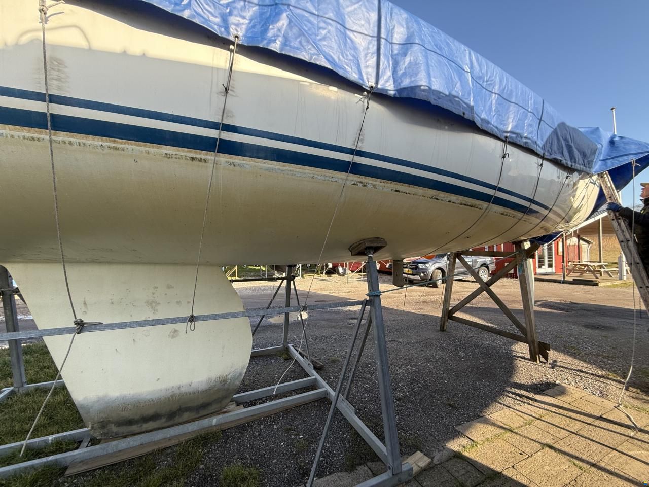 Dynamic 43