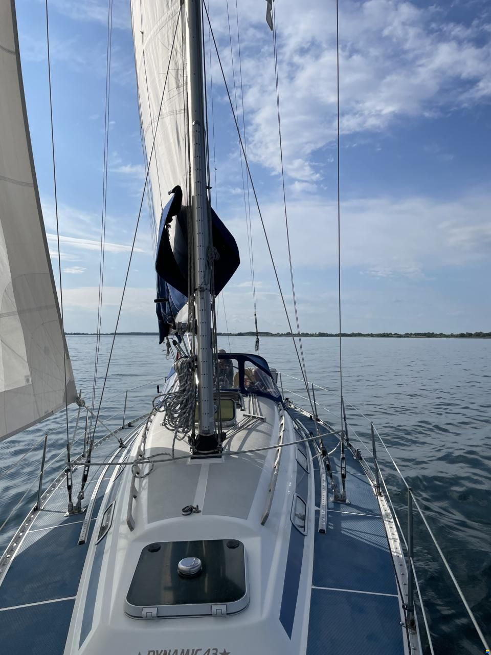 Dynamic 43