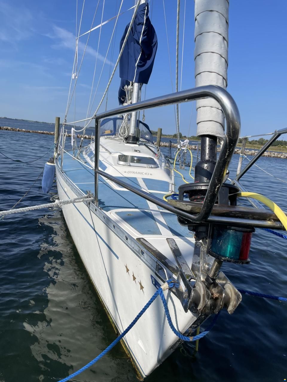 Dynamic 43