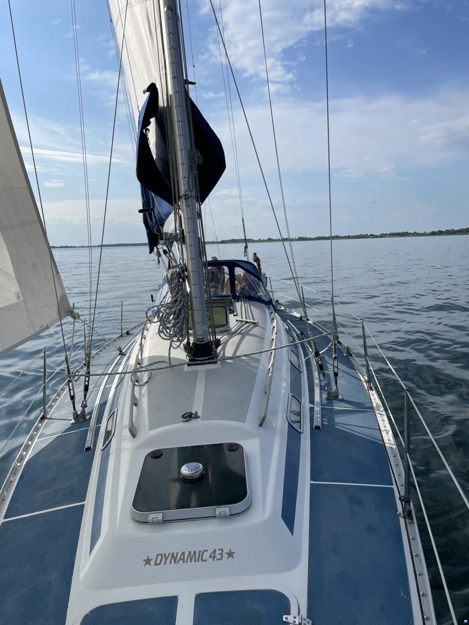 Dynamic 43