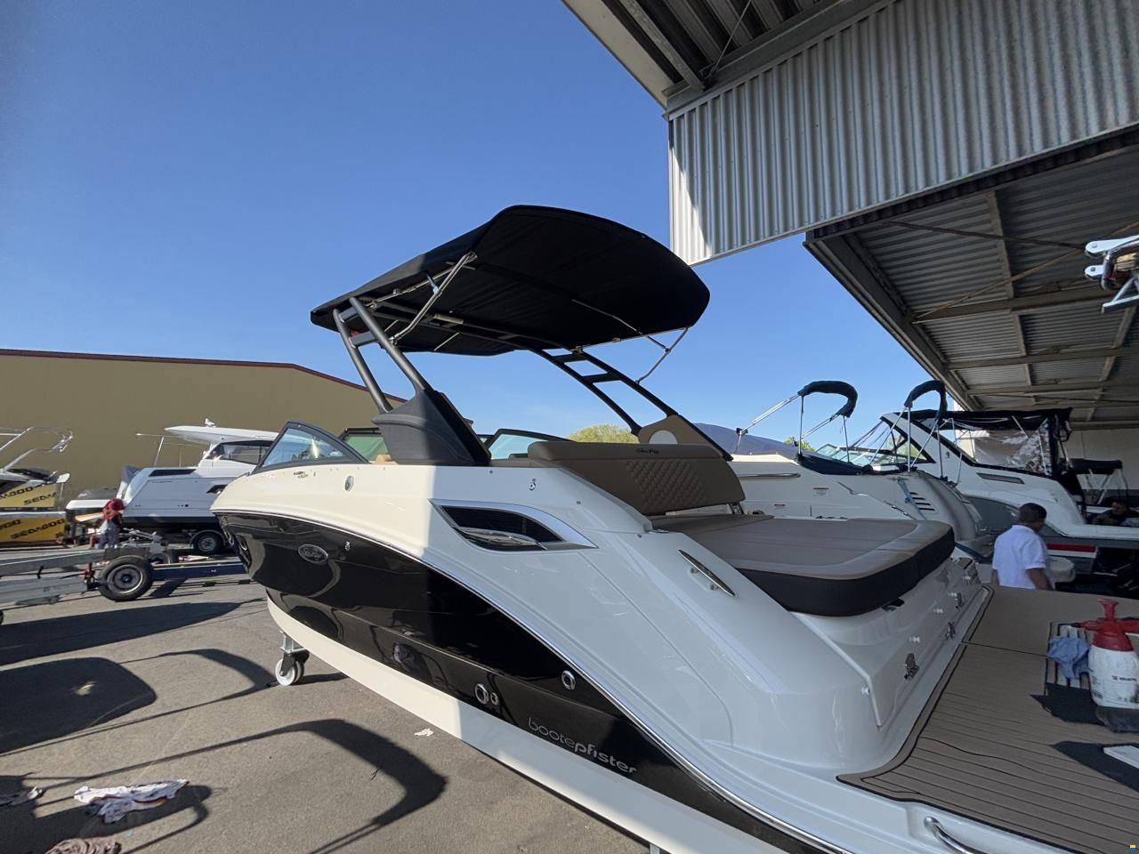Sea Ray 250 SDXE