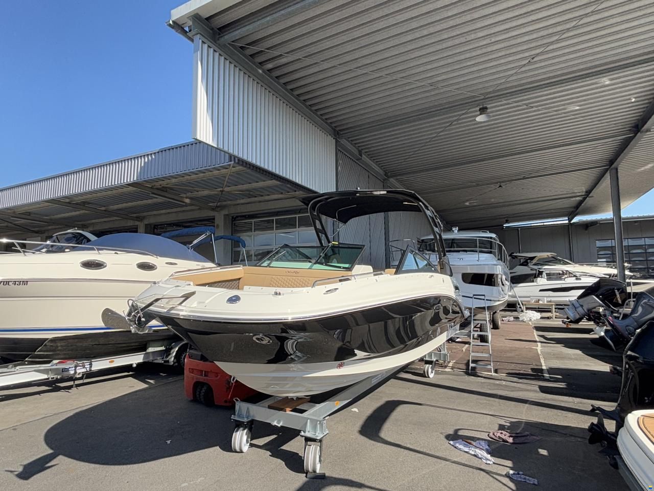 Sea Ray 250 SDXE
